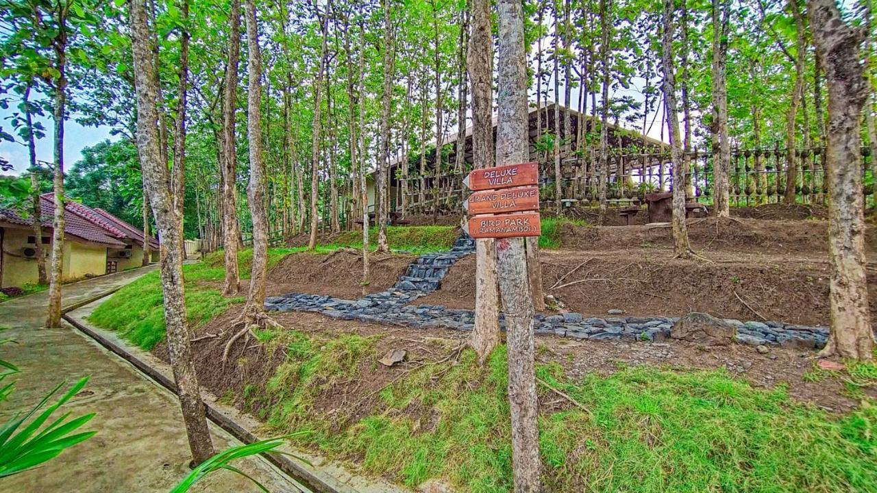 Kasuari Exotic Resort Magelang Eksteriør bilde